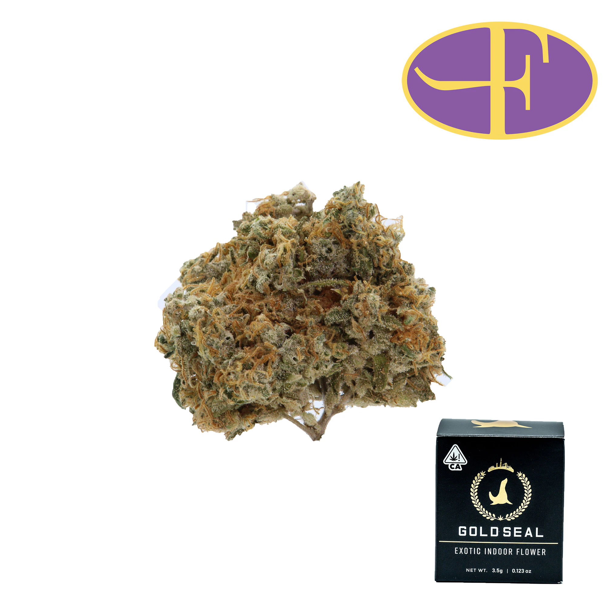 Gold Seal SF - Red Congolese Main Image
