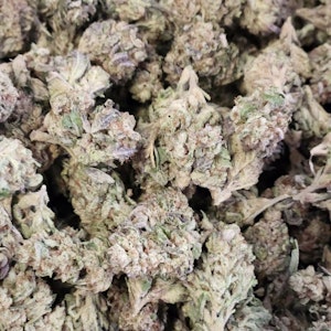 CALIFORNIA STREET CANNABIS CO - Red Velvet - 3.5g (H) - CSCC House Flower