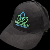 Evergreen Dad Hat