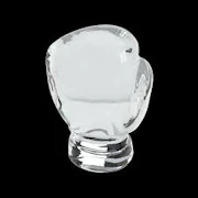 StudenGlass x Tyson 2.0 Glass Glove Globe Clear