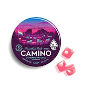 Kiva Camino Pride Passionfruit Punch