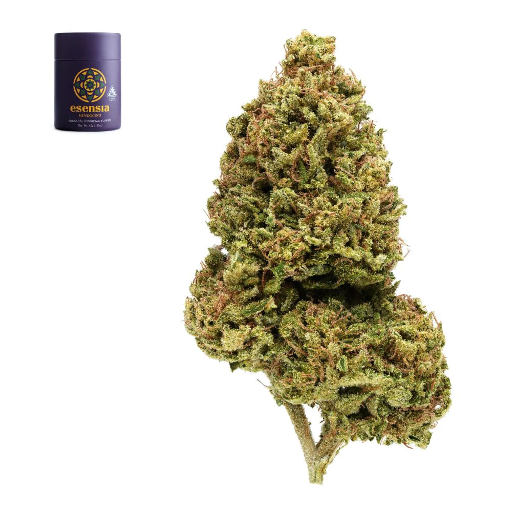Esensia - Buddha's Hand - 3.5g (S) - Esensia Main Image