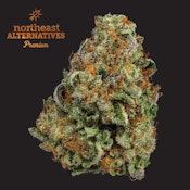 (P) NEA Premium | Gary Payton (H) - Flower 3.5g