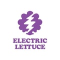 Electric Lettuce Beanie Eye