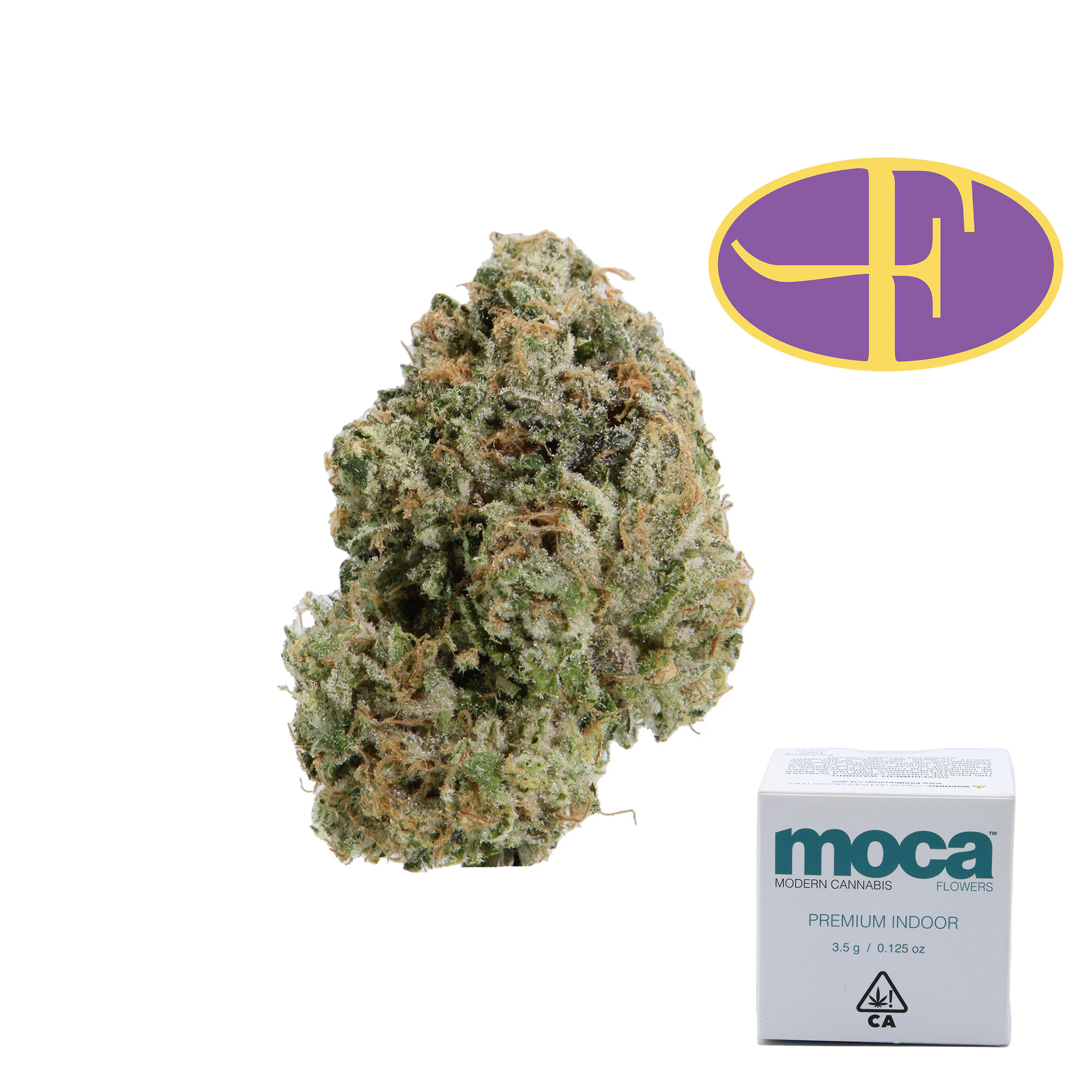 Moca - ZOG Main Image