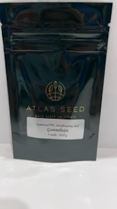 Atlas Seeds - Gummi Bears 5pk Seeds - Atlas Seeds
