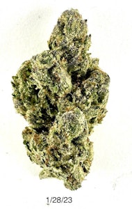 PROHIBITION 37 - P37 - Cotton Candy