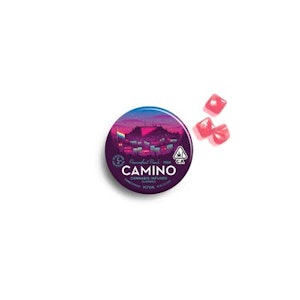 Kiva Confections - Kiva | Camino Tin - Pride Passionfruit Punch