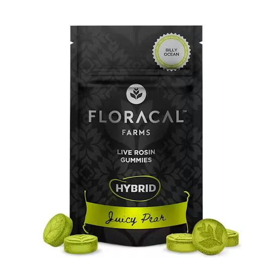 FloraCal - FloraCal | Live Rosin Gummies (10ct) | Juicy Pear | 100mg Main Image