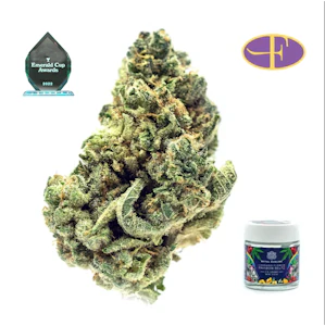 Royal Budline - Rainbow Beltz