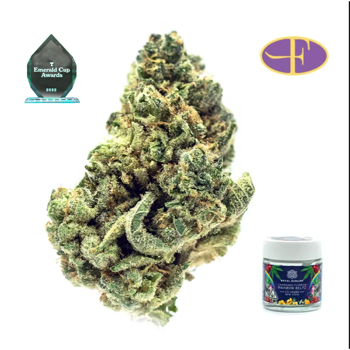 Royal Budline - Rainbow Beltz Main Image