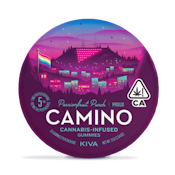Camino - Passionfruit Punch Pride Gummies 100mg