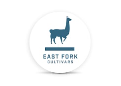 East Fork Cultivars Sour Lemon Kush Create 0.5g Preroll