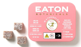 Watermelon -Hybrid- Gal Pal 1:1 Gummies, 20pk 100mg | Eaton Botanicals           -yyy12 FRONT