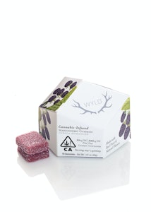 WYLD - Wyld - Indica - Marionberry - Gummies - (100mg)