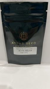 Atlas Seeds - Blue Dream 5 Pack Seeds - Atlas Seeds 