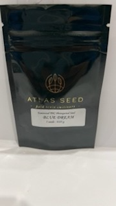 Blue Dream 5pk Seeds - Atlas Seeds 