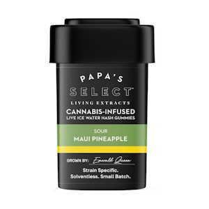Papa's Select - Sour Maui Pineapple Hash Gummies 100mg