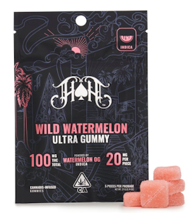 HEAVY HITTERS - Heavy Hitters | Wild Watermelon | Gummies | 100mg