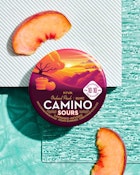 Sour Orchard Peach (Balance) Gummies - 10:10 THC:CBD - 100mg - Camino