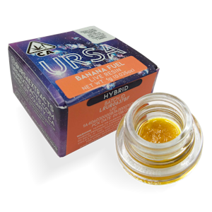 URSA - Banana Fuel (H) 84.27% THC | URSA | 1g Live Resin