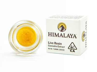 HIMALAYA - Himalaya | Gelato #41 | Terp Sugar | 1g