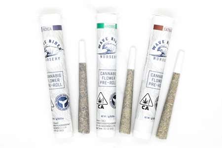 Wave Rider - Fruit Punch - 1g (S) - Wave Rider