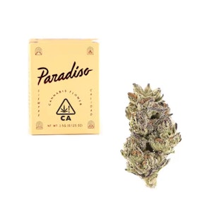 Paradiso - Paradiso 3.5g Sugar Cone $40