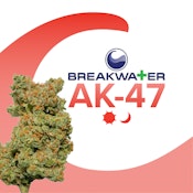 [MED] Breakwater | AK-47 | 3.5g Flower