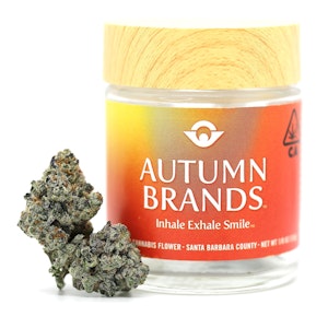 Autumn Brands - Autumn 3.5g Platinum Mints $30