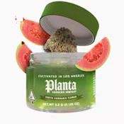 Planta - Flower - Zoap - 3.5g