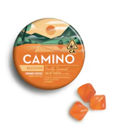 Kiva Camino Gummies Freshly Squeezed CBG 1:2