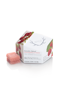 Wyld - WYLD - Strawberry Gummies - 20:1 CBD:THC - 10 Pack