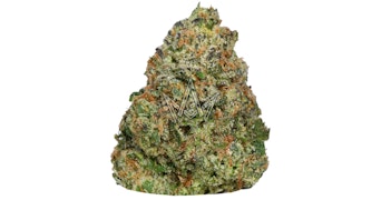 Wizard Trees - Zang Banger - 3.5g