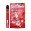 Kushy Punch - Disposable - Watermelon Rush - 1G