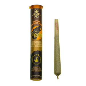 SPACE COYOTE - SPACE COYOTE: SATIVA HASH INFUSED 1G PREROLL