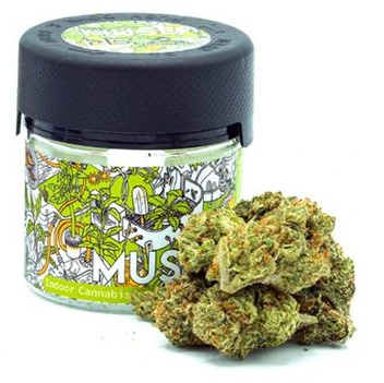 Dolo Rolling Co. - Muse - Emerald Dream (Eighth) Main Image