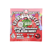 Everyday Hitter 100mg Gummy (Juicy Watermelon)