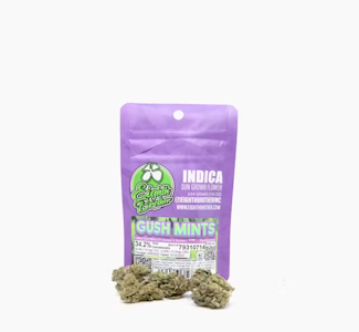 Eighth Brother - Eighth Brother 3.5G Gush Mints Sungrown Flower