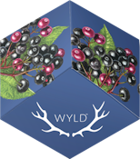 WYLD - ELDERBERRY 2:1 THC:CBN 100MG