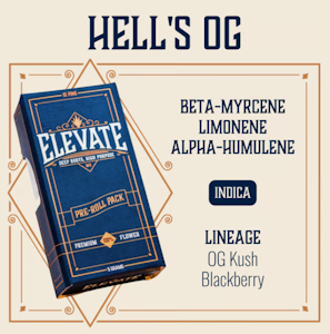 Elevate - Hell's OG 10pk Pre-Rolls - 5g