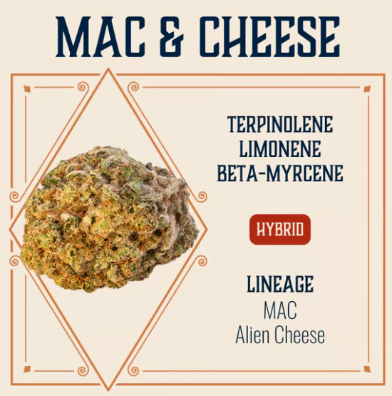 Elevate - Mac & Cheese Flower - 3.5g Main Image