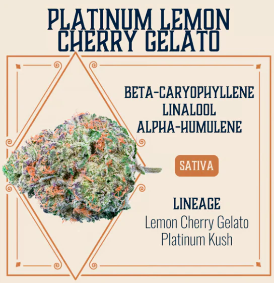 Elevate - Platinum Lemon Cherry Gelato Flower - 3.5g Main Image