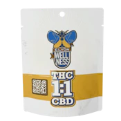 Elyon Wellness | Gush Mintz - CBD:THC:1:1 | 3.5g Flower