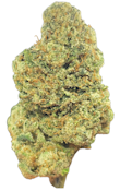 Basic Bud - 1/8th Bag - Emerald Runtz