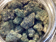 Crownpoint- Emergen-C Deli Flower