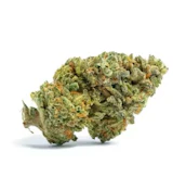 Coastal Roots | Emergen C | 3.5g Flower | [S]