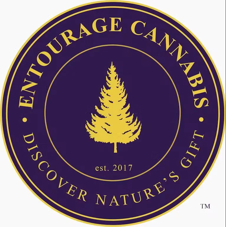 Entourage Cannabis - Entourage Red Lebanese Live Resin AIO 2g Main Image