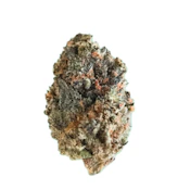 Turtle Taffy - Deli Flower - ERBA