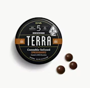 Espresso Beans (100mg) by Terra